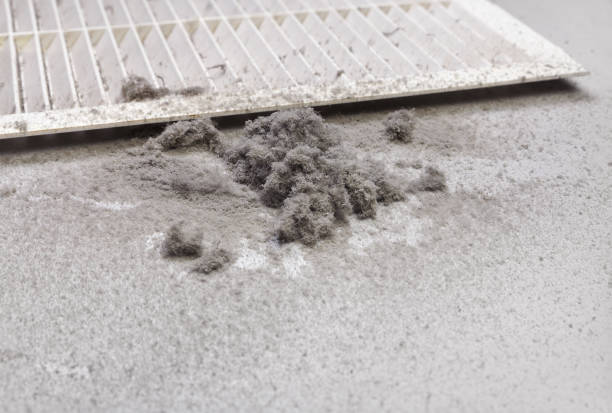 Best Ductwork Cleaning Services  in Helena, MT