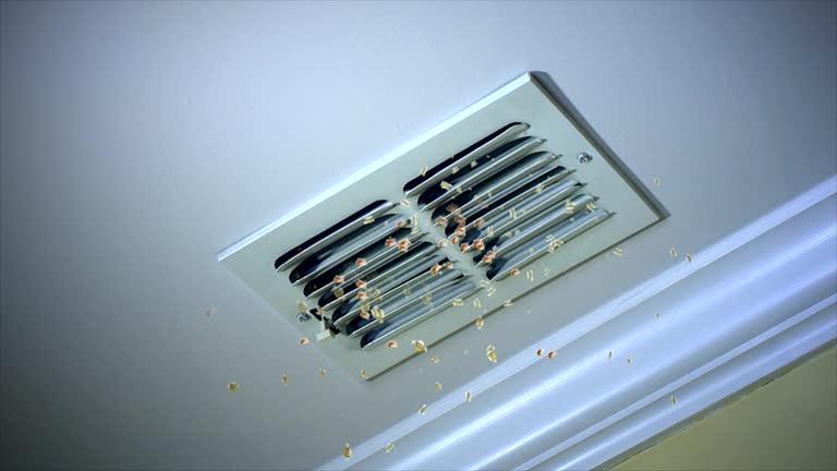 Best Residential Air Duct Cleaning  in Helena, MT