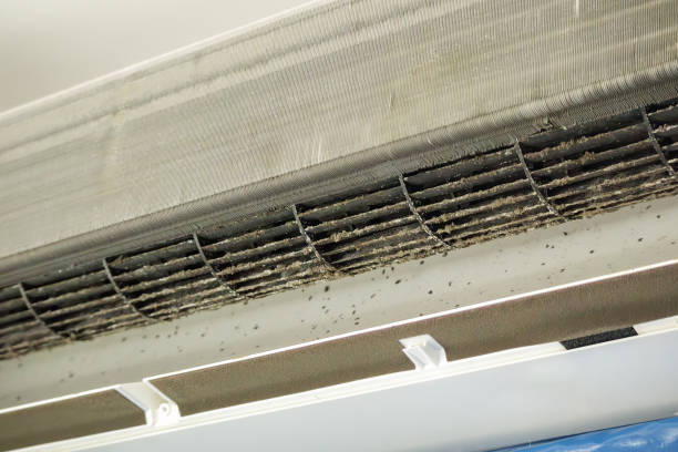 Best Commercial Air Duct Cleaning  in Helena, MT